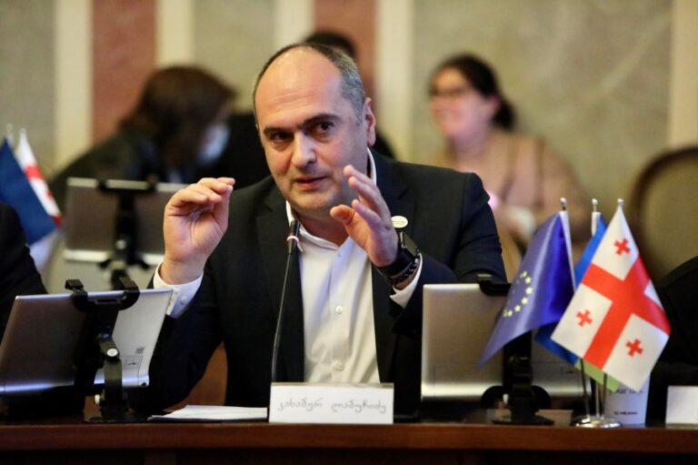 მრავალშვილიანი ოჯახის წევრი სტუდენტები და შეზღუდული შესაძლებლობის სტატუსის მქონე სტუდენტები დაფინანსებას მიიღებენ