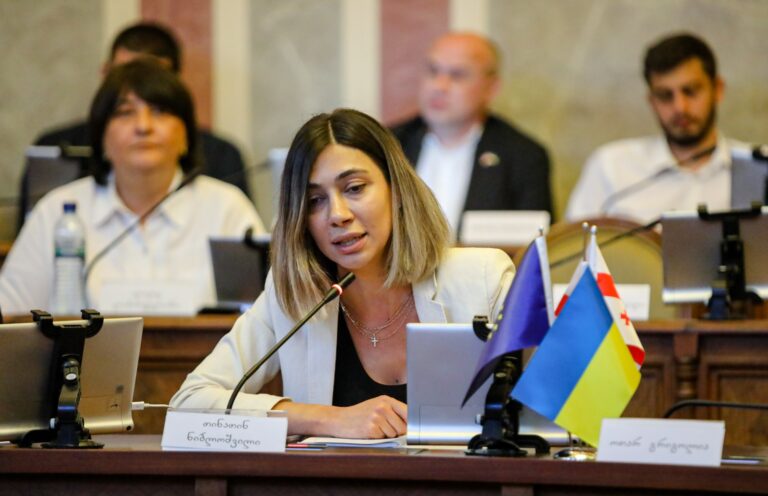 ყველა კარზე აკაკუნებთ, რომ საერთაშორისო ასპარეზზე თქვენი ქვეყანა როგორმე ლაფში ამოსვაროთ - თინათინ ნიბლოშვილი „ნაციონალურ მოძრაობას“
