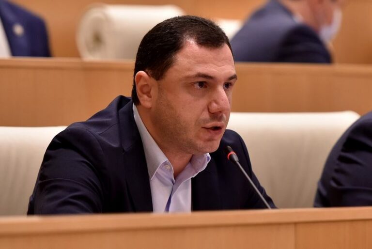 აქციაზე ერთ-ერთი გამომსვლელი კატეგორიულ ტონში მოგვიწოდებდა ხელისუფლებას გარკვეული ნაბიჯებისკენ და კითხულობდა იმ ციტატას, რომელიც კონსტიტუციაში ირაკლი კობახიძემ თავის ხელით ჩაწერა - გიორგი ამილახვარი