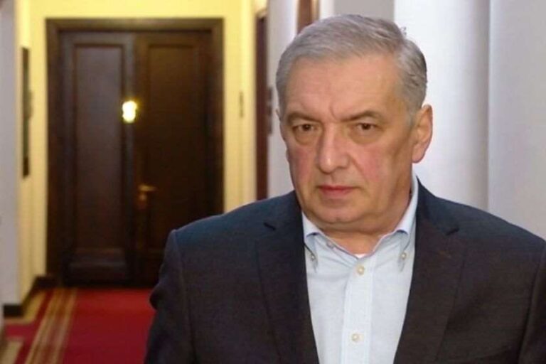 დღევანდელი აქცია და მისი შინაარსი, მათი მიზნით, დესტაბილიზაციაში უნდა გადაიზარდოს - გია ვოლსკი
