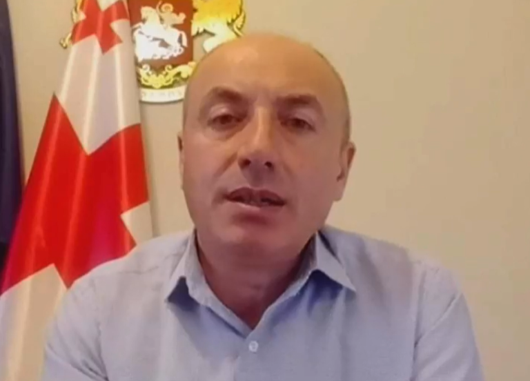გამოდის, რომ ომბუდსმენი შერჩევით სახალხო დამცველობას და შერჩევით ადამიანის უფლებების დაცვას ირჩევს, ამიტომაც აქვს დაბალი რეიტინგი - გურამ მაჭარაშვილი