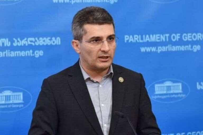რა დაშავდება, თუ საკონსტიტუციო სასამართლო განმარტავს კომპეტენციის ფარგლებს - მამუკა მდინარაძე