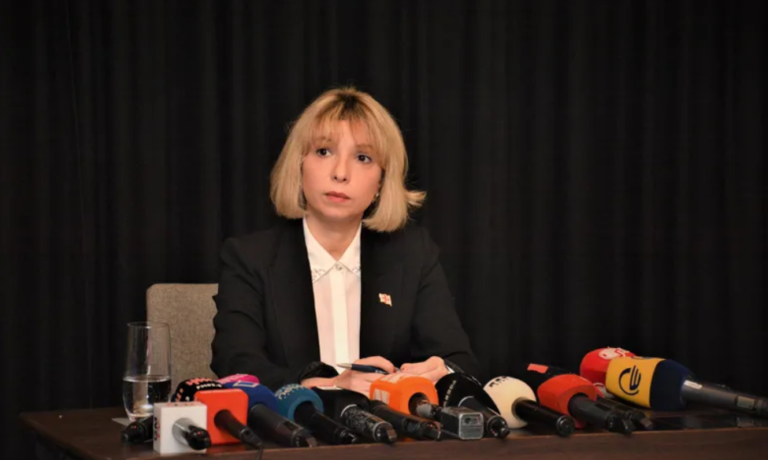 დეპუტატებს მოვუწოდებ, პირველ რიგში, სახალხო დამცველის დასკვნას გაეცნონ - ნინო ლომჯარია