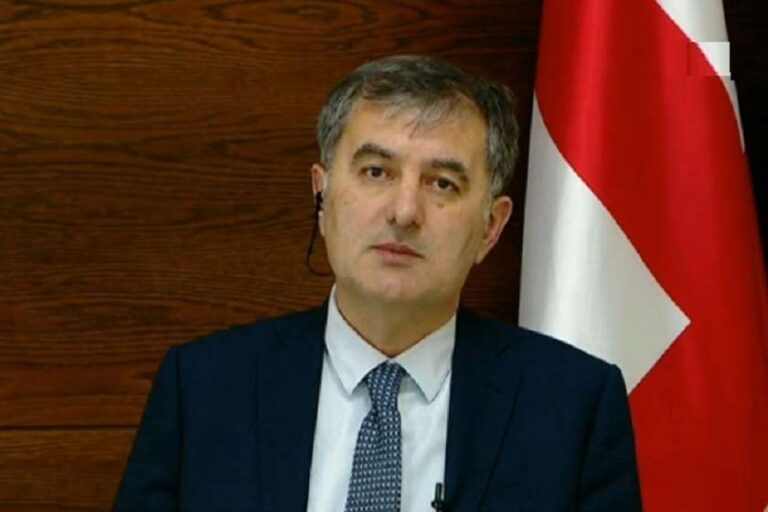 ევროპული მომავლისთვის ყველაფერი უნდა გავაკეთოთ, ოღონდ იქ​ ცოცხლები უნდა მივიდეთ - სოზარ სუბარი