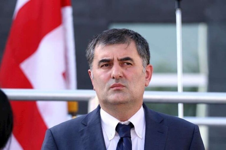 ევროკავშირის გადაწყვეტილება სანამ ოფიციალურად გახდებოდა ცნობილი, იყო ბევრი პირდაპირი გზავნილი ხელისუფლების მიმართ, რომ შეეცვალათ სამოქმედო გეგმა და სტრატეგია - სოზარ სუბარი