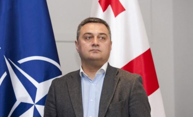 ნატო-ს მადრიდის სამიტზე მიღებულ ყველა დოკუმენტში ერთმნიშვნელოვნად არის გაწერილი, რომ ღია კარის პოლიტიკა ნარჩუნდება, მათ შორის საქართველოსთან მიმართებით - ვიქტორ დოლიძე