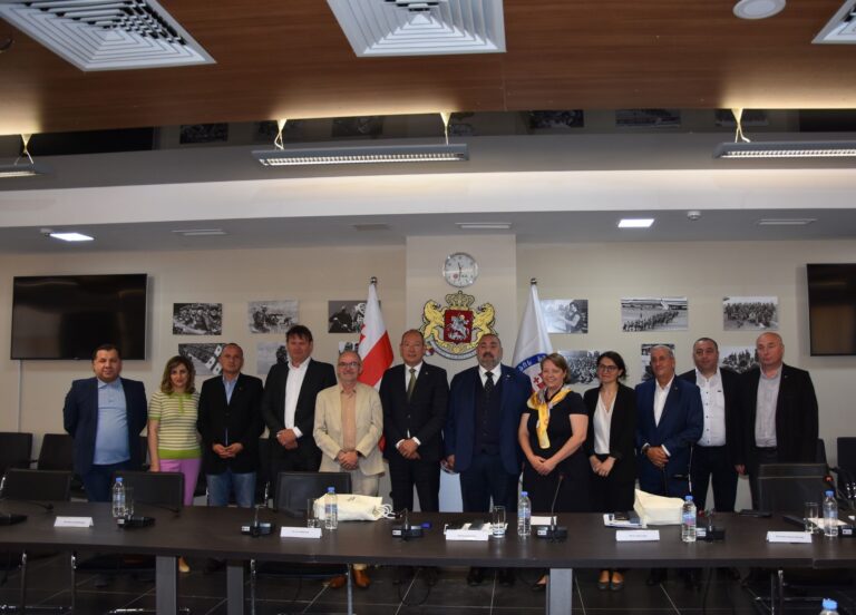 ნიდერლანდების სამეფოს დელეგაციის ვიზიტი ვეტერანების საქმეთა სახელმწიფო სამსახურში