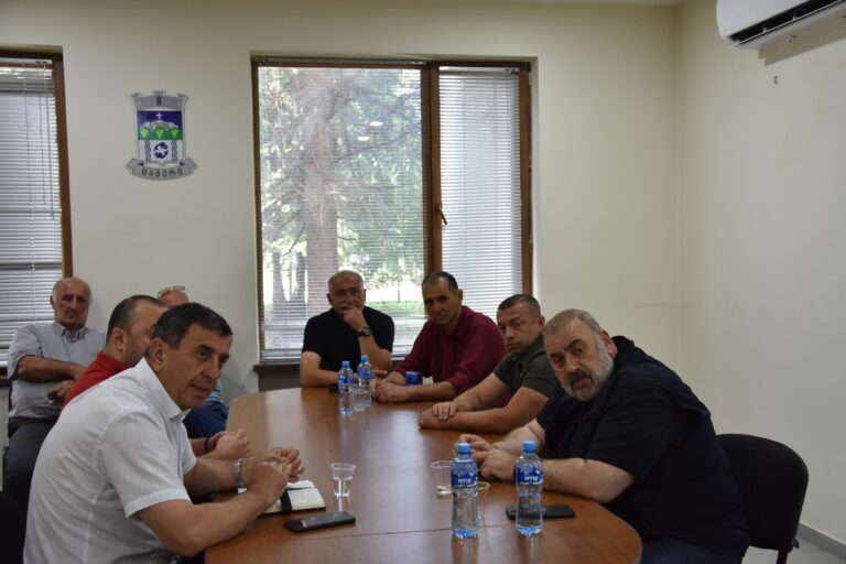 კობა კობალაძე ცაგერის მუნიციპალიტეტის მერის მოადგილეს და ადგილობრივ ვეტერანებს შეხვდა