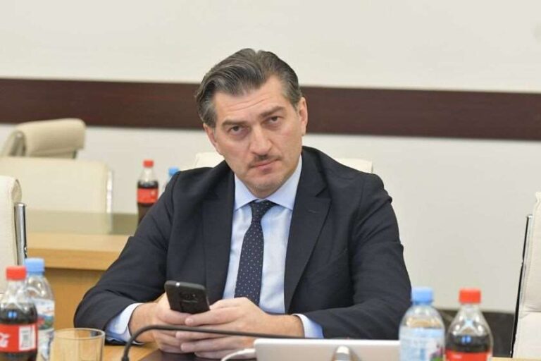 „ნაცმოძრაობა“ ერთ დღეში განადგურდება და შეწყვეტს არსებობას, გარედან, უცხოეთიდან რომ არ ჰქონდეს მხარდაჭერა" - მიხეილ ყაველაშვილი