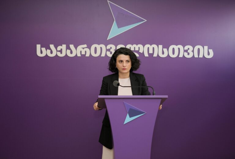 დღეს მთავარია არა პარალელური პროცესები, არამედ კომპრომისი კანდიდატის სტატუსის მისაღებად - ნათია მეზვრიშვილი