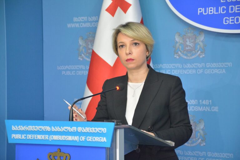 ევროკავშირს უნდა დავანახოთ, რომ ყველა მზად ვართ დემოკრატიული ცვლილებებისთვის ვიბრძოლოთ – ნინო ლომჯარია