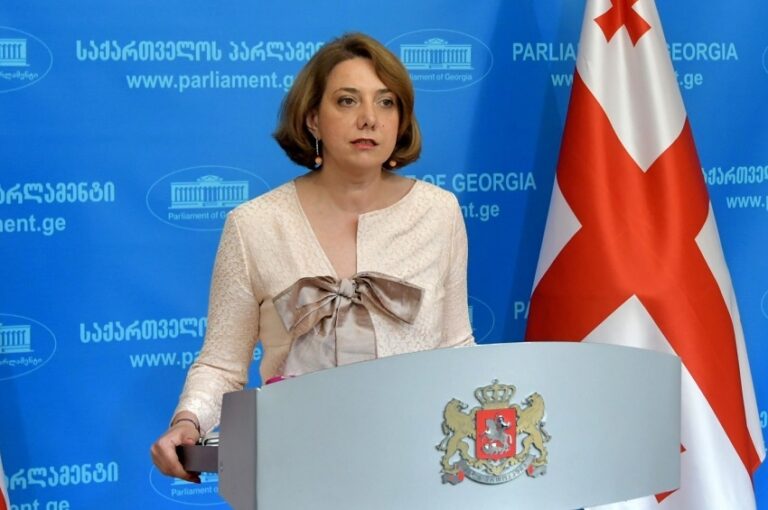 „ქართული ოცნება" სანამ მართავს ქვეყანას, ვიდრე ბიძინა ივანიშვილი დგას კარებში, ევროკავშირის მიმართულებით ჩვენ წინ ვერ წავალთ - სალომე სამადაშვილი