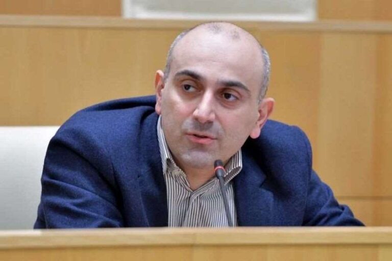 ალტერნატიული პროცესი იმიტაციაა, ევროპელების თვალში არაადეკვატურად გამოვიყურებით - ალექსანდრე რაქვიაშვილი