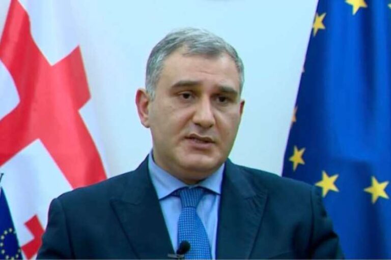 არ მგონია, რომ ხელისუფლების რომელიმე წარმომადგენლის მხრიდან მოხდა აშშ-ის ელჩზე თავდასხმა, ამას ვერ დავეთანხმები - მიხეილ სარჯველაძე