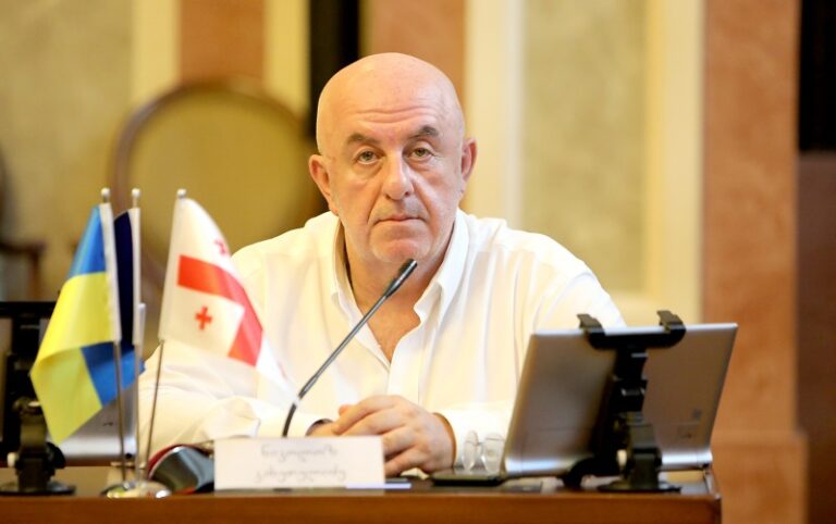 "ოპოზიციას საკითხი შესწავლილი არ აქვს და პროტესტს მხოლოდ პოლიტიკური მოსაზრებების გამო გამოთქვამს"- ნიკოლოზ კახეთელიძე