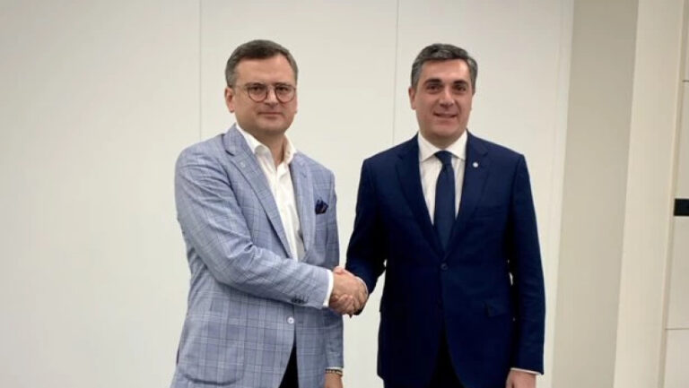 შევხვდი ქართველ კოლეგას, განვიხილეთ მთელი რიგი ორმხრივი საკითხები - დმიტრო კულება