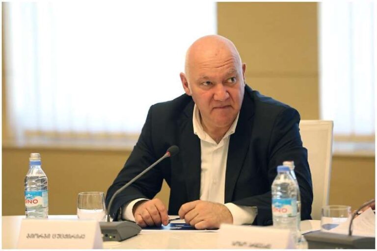 "საგარეო შოკების და გამოწვევების მიუხედავად, საქართველოს ეკონომიკა ინარჩუნებს მდგრადობას" - გიორგი ცუცქირიძე