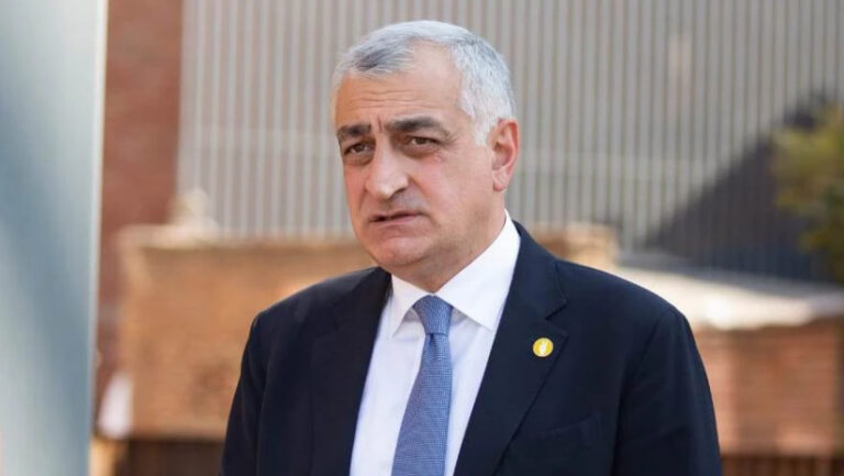 "სასწრაფოდ შემოიღეთ 30 - დღიანი სავიზო რეგულაცია"- მამუკა ხაზარაძე