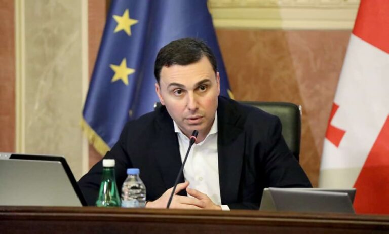 "ავარიული სახლების ჩანაცვლების პროგრამის განხორციელებით მნიშვნელოვან შედეგს მივაღწევთ" - გიორგი ტყემალაძე
