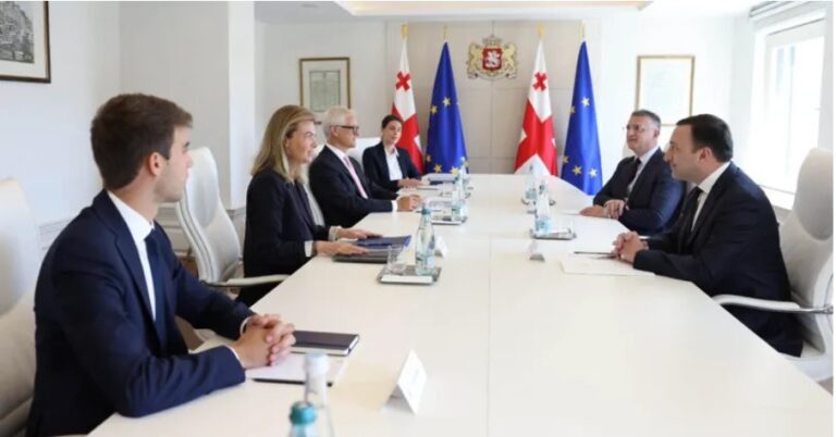 პრემიერ-მინისტრი Rothschild & Co-ს მმართველ დირექტორს შეხვდა