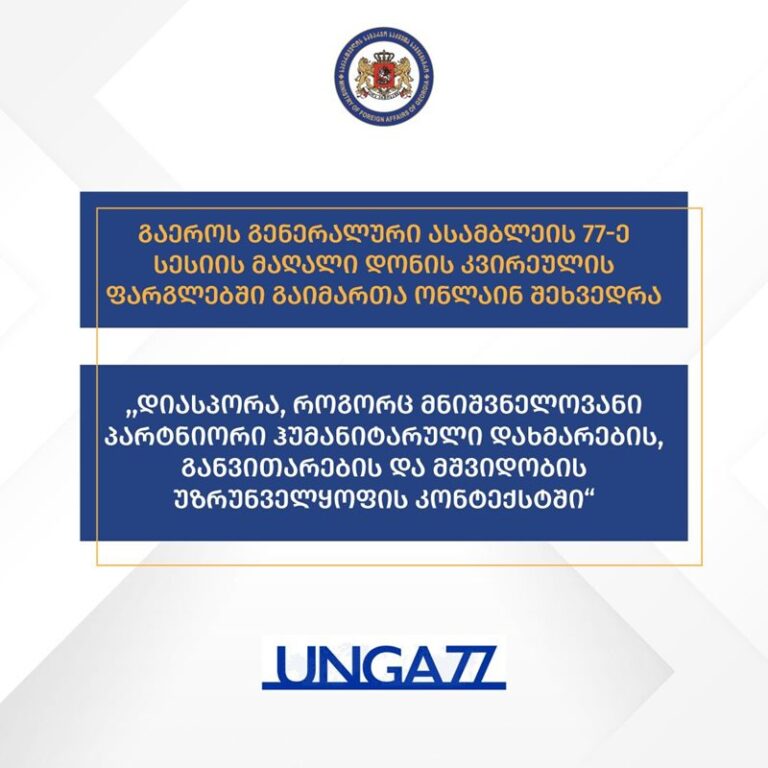 "დიასპორა, როგორც მნიშვნელოვანი პარტნიორი ჰუმანიტარული დახმარების, განვითარების და მშვიდობის უზრუნველყოფის კონტექსტში"