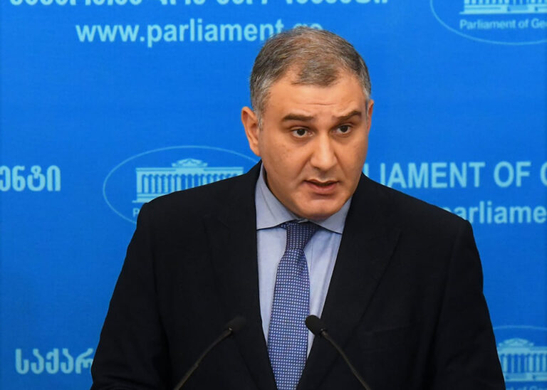 "გამოვრიცხავ, რომ დეოლიგარქიზაციის კანონის მოქმედება გავრცელდეს პერსონალურად ბიძინა ივანიშვილზე" - მიხეილ სარჯველაძე
