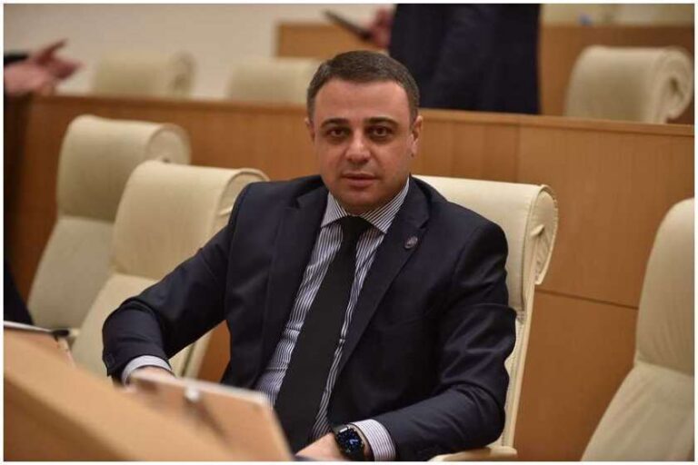 "მთელი ცივილიზებული სამყაროს მიერ აღიარებულ კანონს უპირისპირდება ოპოზიცია" - ალუდა ღუდუშაური