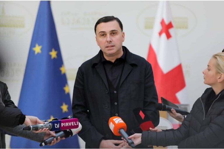 "ჩვენ იმ სხდომის დანიშვნას არ ვაპირებთ, რომელშიც მონაწილეობის მიღება დაგეგმილი არ გვაქვს "-გიორგი ტყემალაძე