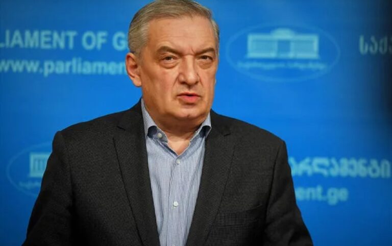 "სერგო თეთრაძე წამებაში მოკლეს, ეს ერთი შემთხვევა ხომ არ არის?"- გიორგი ვოლსკი
