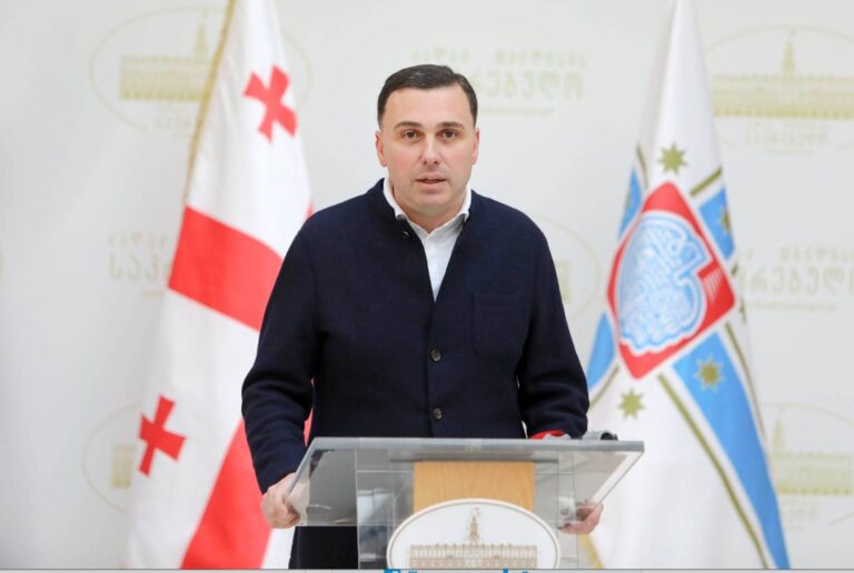"მზიურის პარკი ფართოვდება და 18 000 კვ.მ-მდე ტერიტორია თბილისელებს"-გიორგი ტყემელაძე