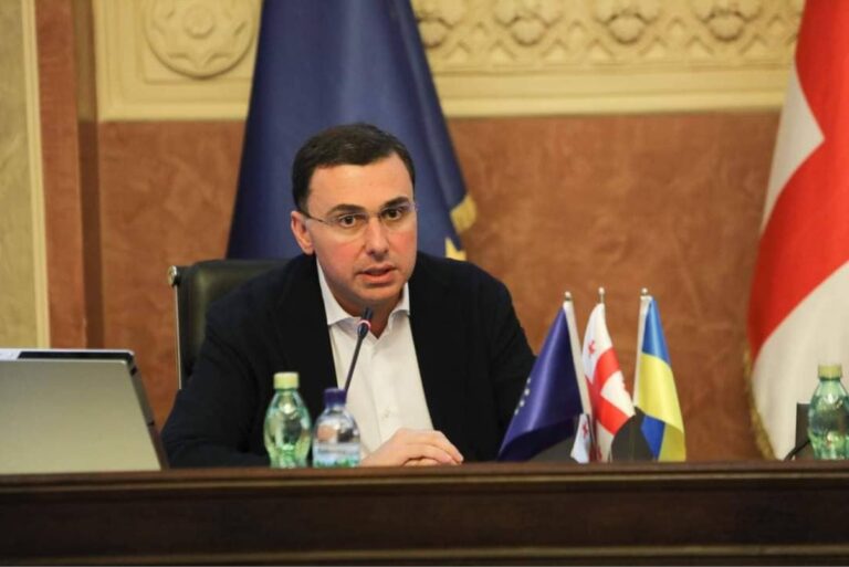 "დაველოდოთ გამოძიების შედეგებს და ვაკის პარკში მომხდარ ტრაგედიას პოლიტიკურ ჭრილში ნუ გადავიყვანთ"- გიორგი ტყემალაძე ოპოზიციას