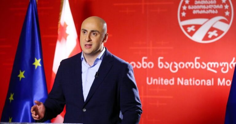 ნიკა მელია აცხადებს, რომ ბოლო ერთი წლის განმავლობაში სალომე ზურაბიშვილთან რამდენიმე შეხვედრა ჰქონდა