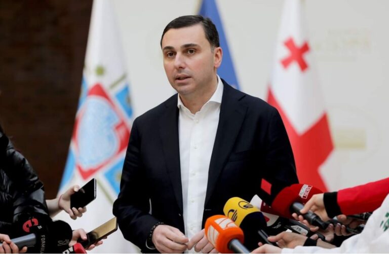 „ვაკის პარკში სასტუმროს მშენებლობისთვის განკუთვნილი მიწის ნაკვეთის მონაცვლეობის საკითხში თბილისის მერს საკრებულოს უმრავლესობის სრული მხარდაჭერა აქვს“ - გიორგი ტყემალაძე