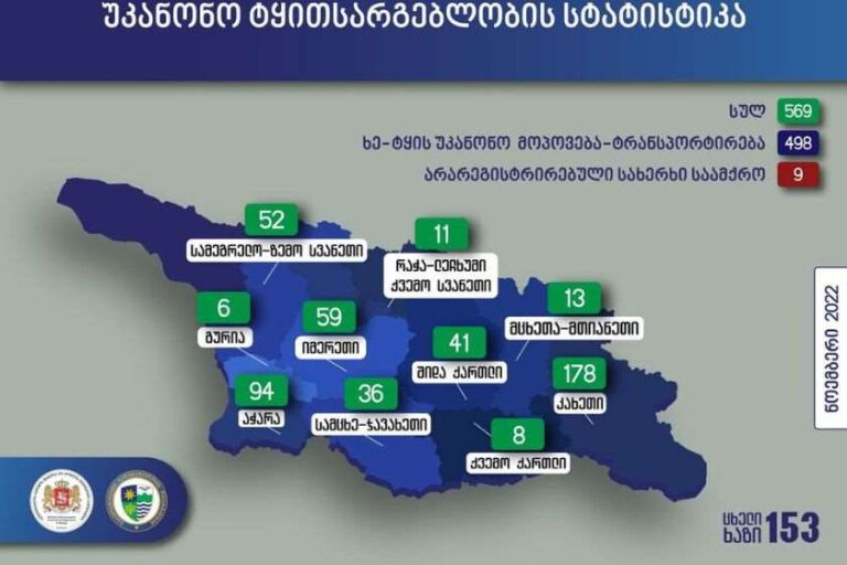 ნოემბრის თვეში უკანონო ტყით სარგებლობის 569 ფაქტი გამოვლინდა