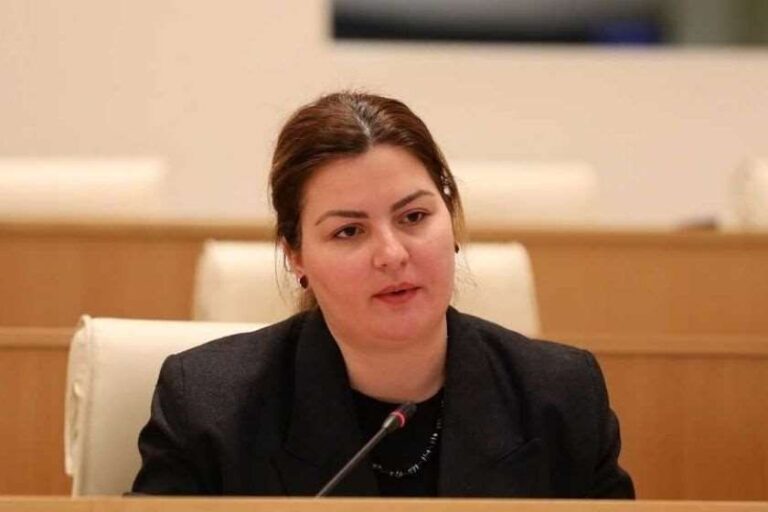 "პარტია, რომელიც შედეგებით აჩვენებს, რომ წარსულში ბრუნდება - მასთან თანამშრომლობის მიზანს ვერ ვხედავთ"- ანა ნაცვლიშვილი