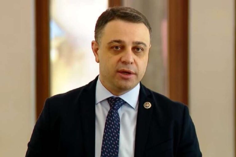 "ობიექტური შემფასებლისთვის ცხადი უნდა იყოს პროგრესი, რაც საქართველოს აქვს"- ალუდა ღუდუშაური