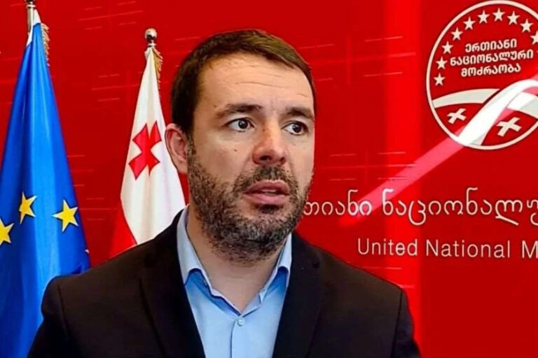 "ვანო მერაბიშვილს დესტრუქციის მეტი არაფერი არ მოაქვს"- ბაჩო დოლიძე