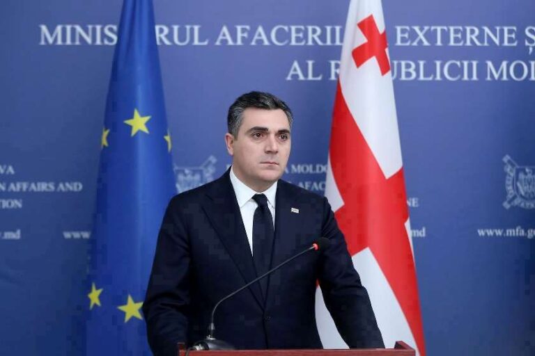"ძლიერი მხარდამჭერი გზავნილები მივიღეთ ნატოელი პარტნიორებისგან"- ილია დარჩიაშვილი