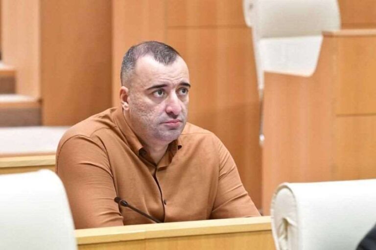 "საქართველო კანდიდატის სტატუსის მიღებას შარშანაც იმსახურებდა და წელს უფრო მეტად იმსახურებს"- რატი იონათამიშვილი