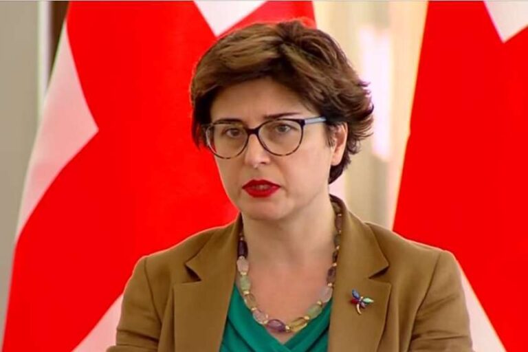 "12 პუნქტის შესრულებაზე მუშაობის კუთხით ყველაზე მეტი შენიშვნა „ნაციონალურ მოძრაობასთან“ მაქვს"-ხათუნა სამნიძე