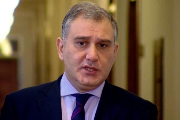 "არასაჭირო აგრესიას მიმართავდნენ პოლიციელების წინააღმდეგ, როგორ შეიძლება ეს იყოს ნორმალურად შეფასებული?!"- მიხეილ სარჯველაძე