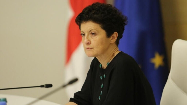 "ფაქტი, რომ საქართველოს და არა ხელისუფლებას, არ მიგვაღებინეს მოცემული კანონი, იქნება სანანებელი"-თეა წულუკიანი