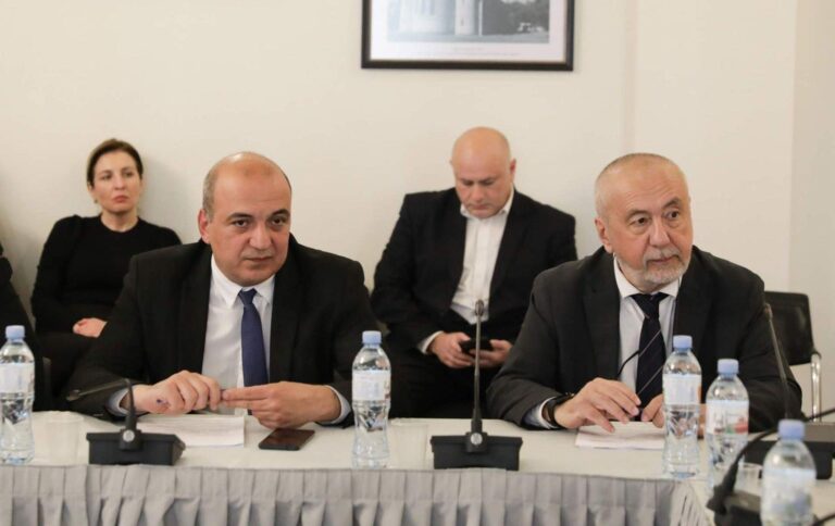 დიასპორისა და კავკასიის საკითხთა კომიტეტმა  რუსთაველის  ეროვნული სამეცნიერო ფონდის მიერ განხორციელებული და დაგეგმილი პროექტების შესახებ ინფორმაცია მოისმინა