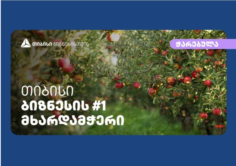 თიბისისთან პარტნიორობით კომპანია „ჭარებულამ“ გორის რაიონში ინტენსიური ვაშლის ბაღები გააშენა