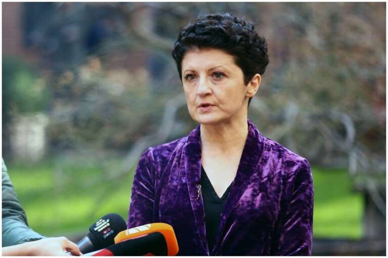 "დიდი მოთმინებით დაველოდებით დღეს, როცა ბრიუსელში მიღებული იქნება ჩვენი ქვეყნისთვის ერთადერთი და სამართლიანი გადაწყვეტილება სტატუსის მონიჭების შესახებ"- წულუკიანი