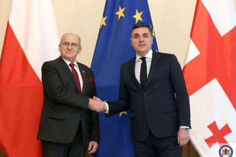 "პოლონეთის სახით საქართველოს ძლიერი და საიმედო მხარდამჭერი ჰყავს"-ილია დარჩიაშვილი