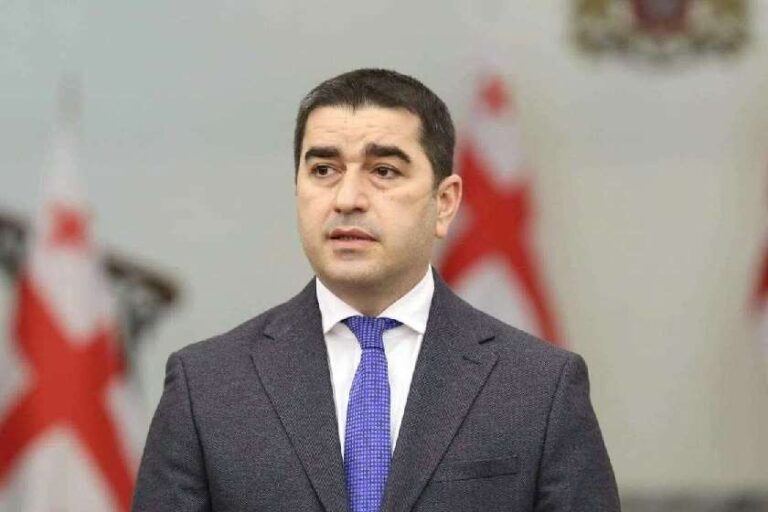 "ჩვენი სახელმწიფო მიეხეთქა ყველა აისბერგს, რომელსაც შეიძლება მიხეთქებოდა"-შალვა პაპუაშვილი