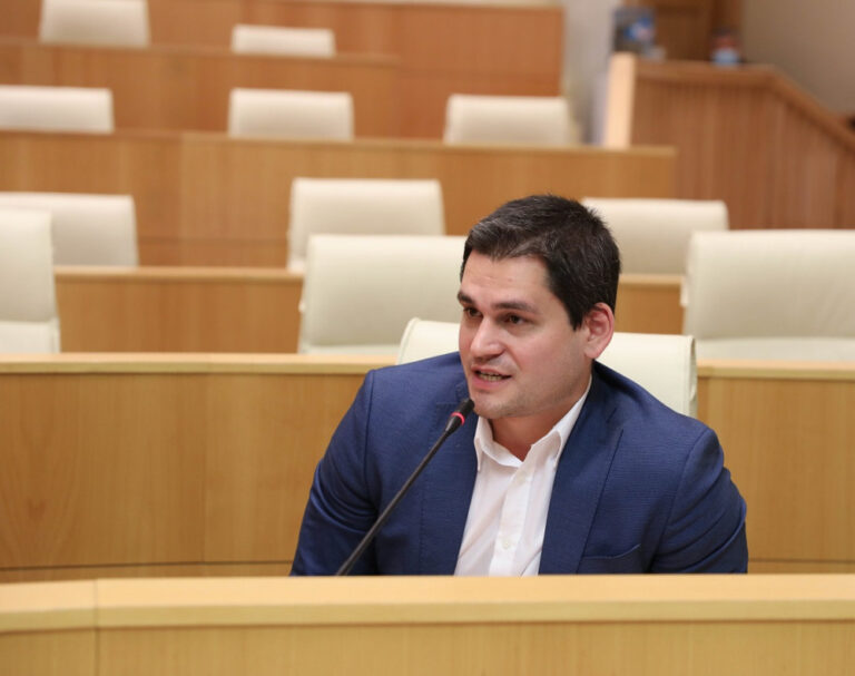 არაფორმალურ მმართველებს ვხედავთ არა მხოლოდ ხელისუფლების არამედ ოპოზიციის მხარესაც - მიხეილ დაუშვილი