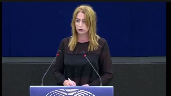 ,,საქართველოც გეოპოლიტიკური სიტუაციის გამო დაიჩაგრა და არა იმის გამო, რომ რაიმე არ გააკეთა”- კლერ დეილი