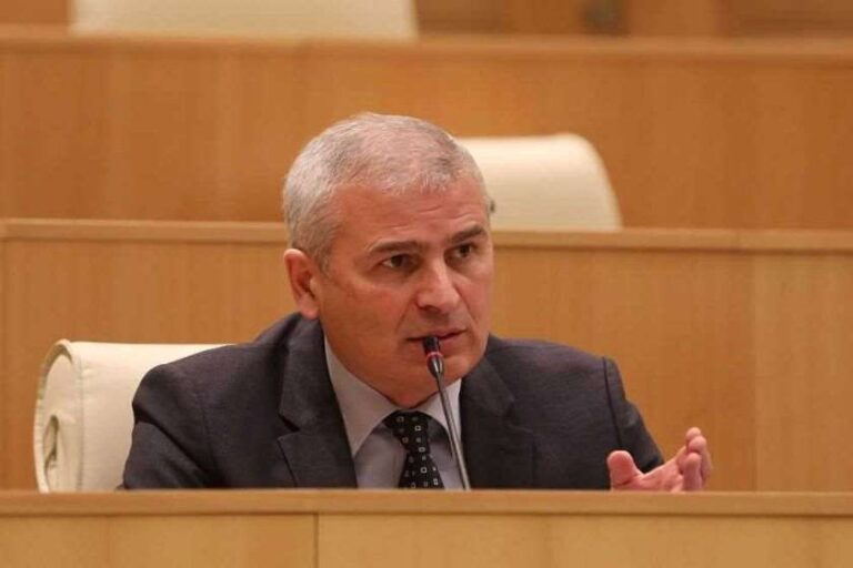 "სააკაშვილი ქართულ პოლიტიკას არც არასოდეს ჩამოშორებია და ყოველთვის ზიანის მოტანით იყო დაკავებული"-ირაკლი ქადაგიშვილი